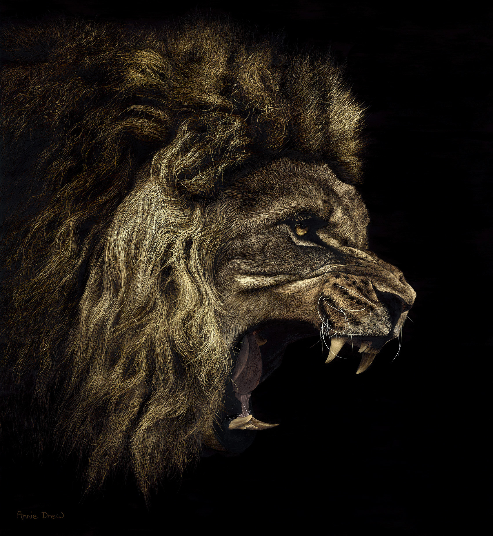 Roaring Lion Oil Painting - Annie Drew