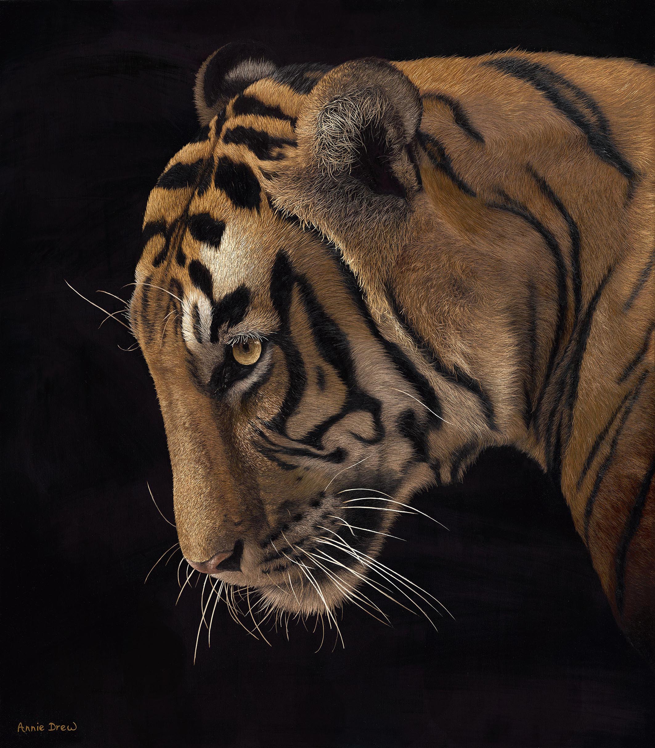 Annie Drew Wildlife Art - Oil Painting of Tiger