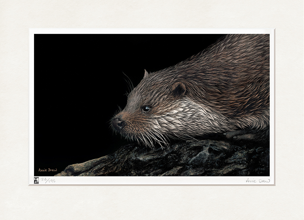 Annie Drew Wildlife Art Otter Print