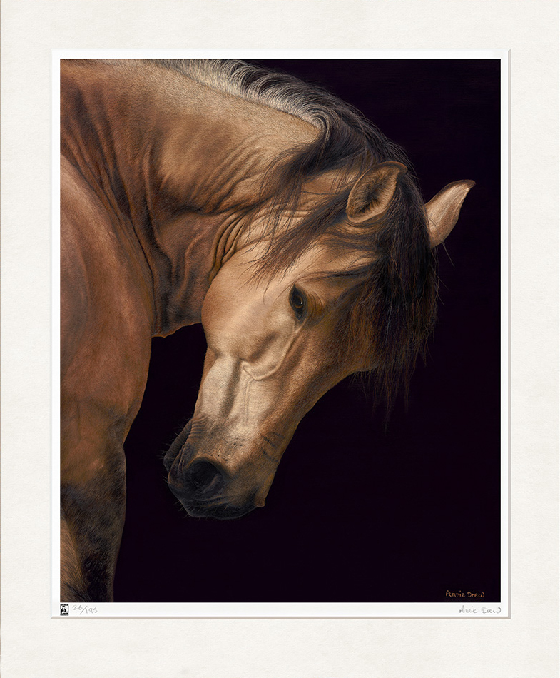 Annie Drew Wildlife Art - Oil Painting of Stallion