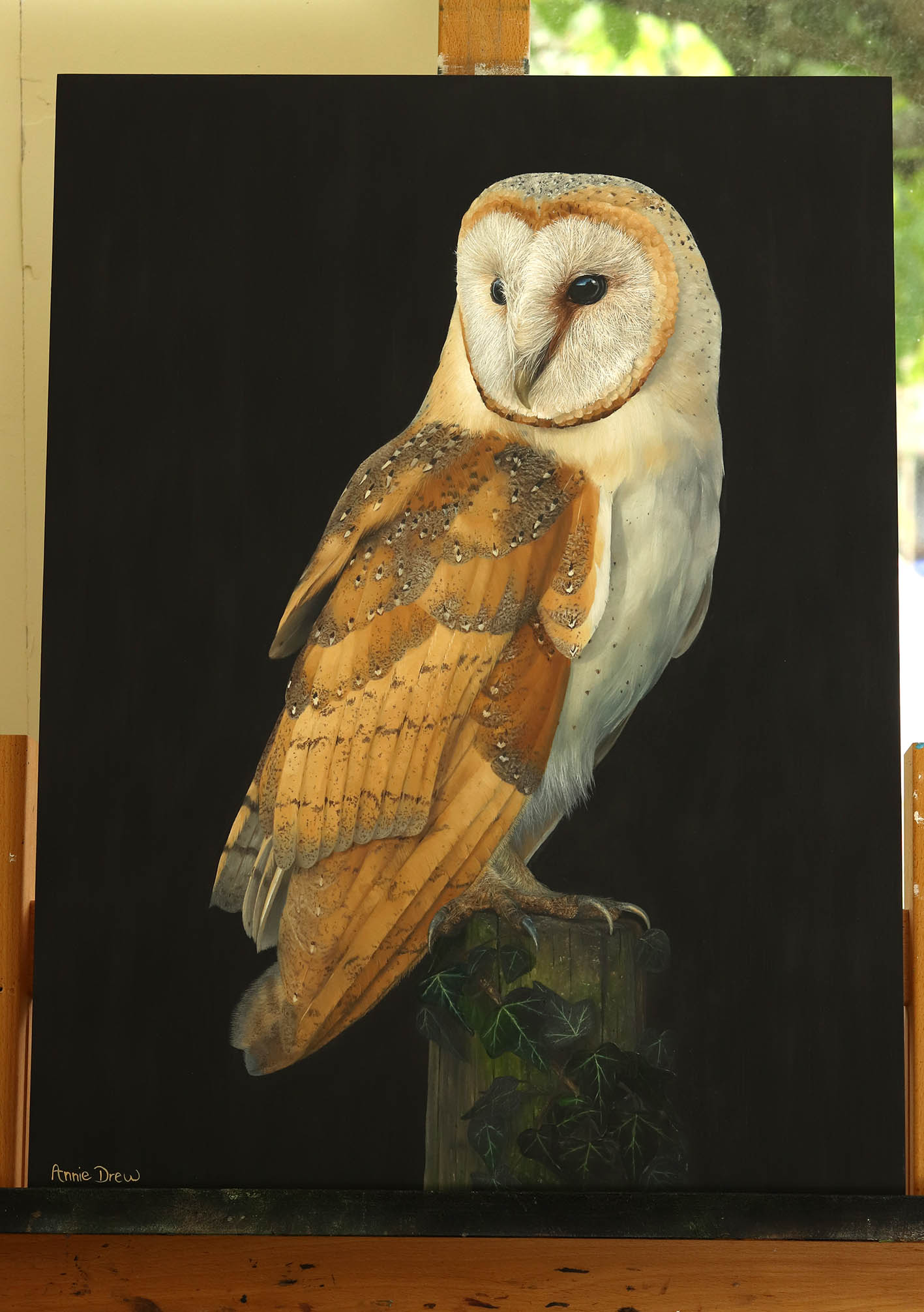 Barn Owl 4 finished copy Annie Drew Wildlife Art - Oil Painting of Robin