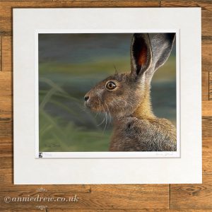 Wildlife Art Print, Hare