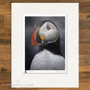 Wildlife Art Print, Puffin